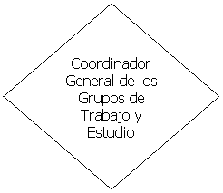 Decisión: Coordinador General de los Grupos de Trabajo y Estudio