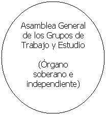 Elipse: Asamblea General de los Grupos de Trabajo y Estudio
(Órgano soberano e independiente)