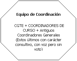 Octágono: Equipo de Coordinación CGTE + COORDINADORES DE CURSO + Antiguos Coordinadores Generales (Estos últimos con carácter consultivo, con voz pero sin voto)