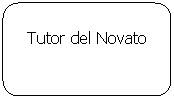 Rectángulo redondeado: Tutor del Novato